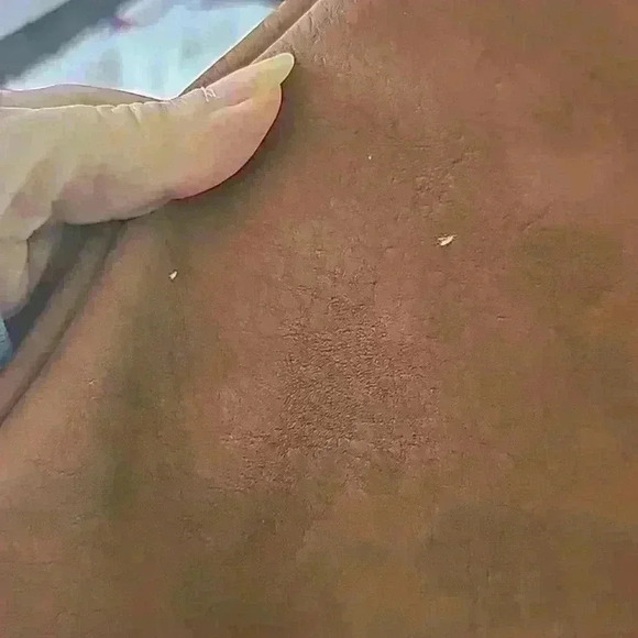 Trans by Jansport full sized backpack rainbow sparrows - Picture 2 of 3